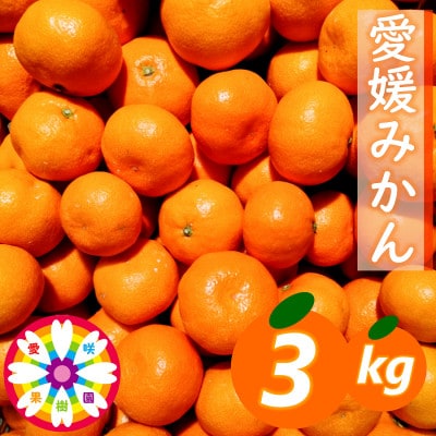 「 愛媛 みかん 」約3kg《 愛咲果樹園 》【A71−25】【1616827】