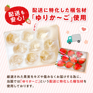 ★先行予約★贈答用いちご 3品種食べ比べセット(3パック入)[1月中旬より順次発送]【2602C09703】
