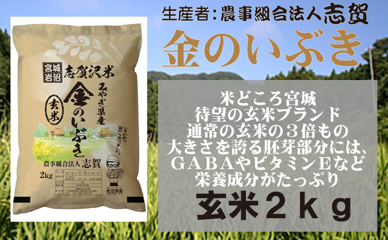 宮城県岩沼市産 志賀沢米 金のいぶき 玄米2kg