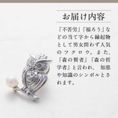 ふるさと納税 佐伯市 アコヤ真珠 ピンブローチ 梟 (5.5mm珠) |  | 01