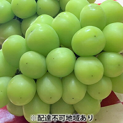 【ふるさと納税】シャインマスカット 3房 合計1.7kg以上 葡萄 フルーツ 岡山 高梁市産 こあに葡萄園 2025年 先行予約 果物類 ぶどう ブドウ 　お届け：2025年9月下旬～2025年10月下旬