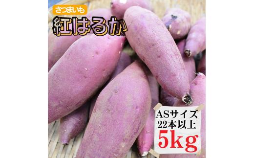 さつまいも【紅はるか】ASサイズ5kg（22本以上）