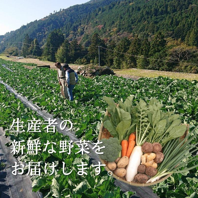 『定期便』野菜詰め合わせセット6ヵ月