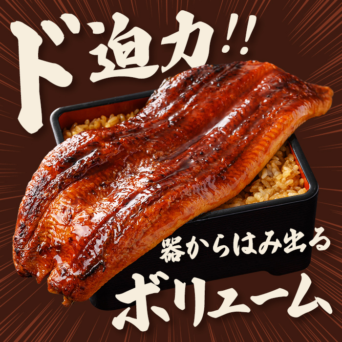 ＜訳あり＞ うなぎ 蒲焼き 2尾 計600g以上 (1尾あたり300g～330g×2尾) 冷凍 たれ 山椒 鰻 ウナギ うな重 ひつまぶし かばやき 訳アリ 丑の日 茨城県 【そうざい男しゃく（株式会
