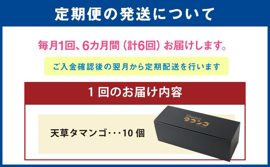 熊本県天草市で生まれたブランド卵「天草タマンゴ」10個入 ／ 化粧箱×6回 計60個 化粧箱入