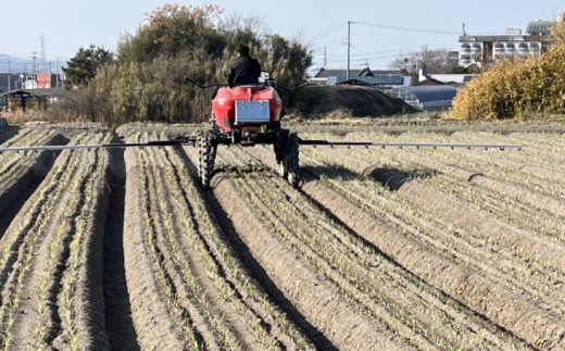 【淡路島玉ねぎ・サイズ混合】三世代で紡ぐ味淡路島の玉ねぎ 5Kg◆配送6月上旬〜8月中旬