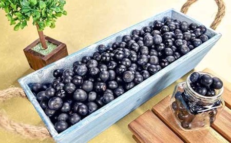朝どれ！新鮮生ブルーベリー250g×4パック　西都ブルーベリー農園＜1.2-36＞