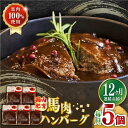 【ふるさと納税】【全12回定期便】国内肥育 冷凍 馬肉ハンバーグ 計1kg ( 200g × 5個 ) デミグラスソース入り 小分け 個包装 惣菜 湯煎 熊本【有限会社 丸重ミート】[YAK051]