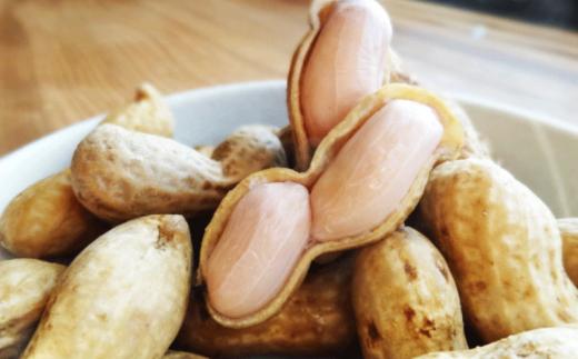 おおまさり 約 3kg  千葉県産 ピーナッツ 落花生 ラッカセイ マメ 豆 ナッツ タンパク質 タンパク ミネラル 食物繊維 豆 マメ 人気 おすすめ おつまみ 贈答 ギフト プレゼント 贈答 記念日 お祝い 送料無料 ふるさと納税 千葉県 旭 千葉県 旭市 株式会社ヤマハン ymh016