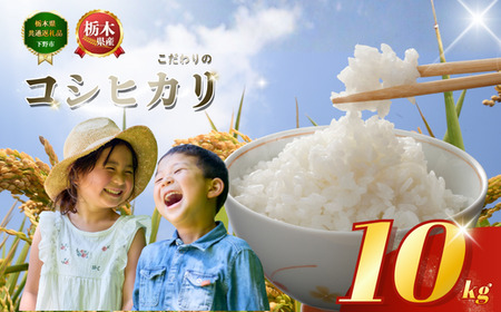 コシヒカリ こしひかり 約10kg | 栃木県 下野市