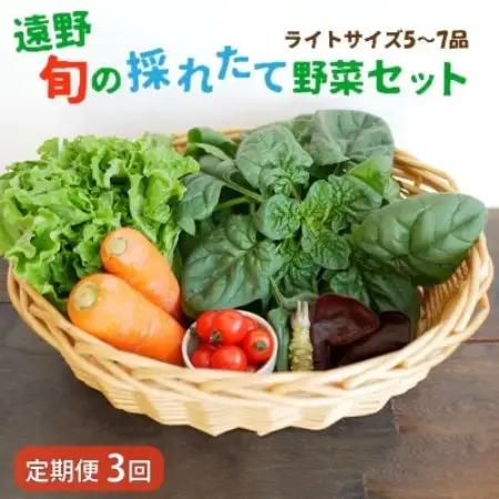 【毎月定期便】旬のとれたて野菜セット(5~7品)ライトサイズ【こんたでぃーの遠野】全3回【配送不可地域：離島】【4066184】