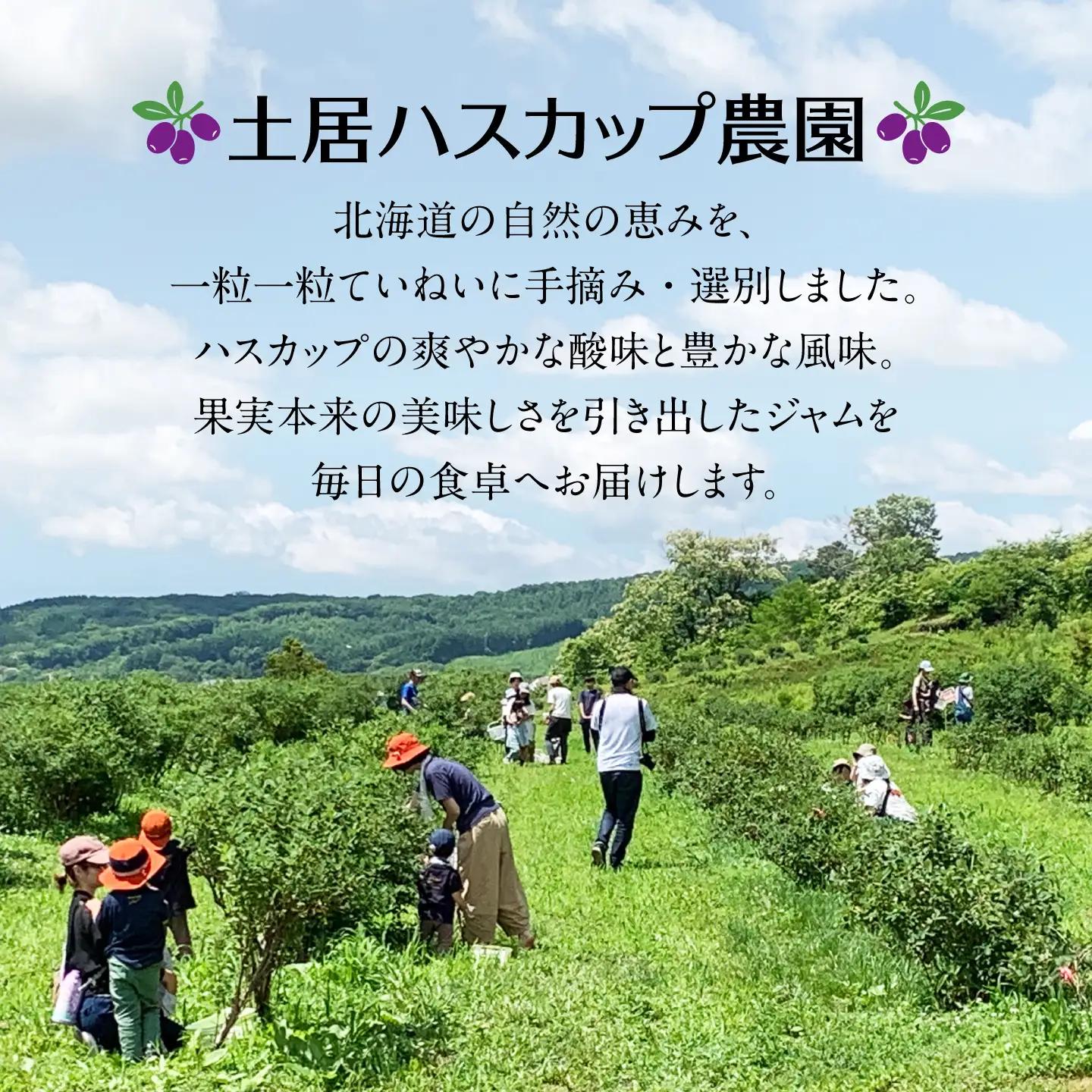 ハスカップジャム ×2個 手作り【土居ハスカップ農園】 ジャム スーパーフード 手づくり アイス ヨーグルト 常温 北海道 [AXAV001] 9000円
