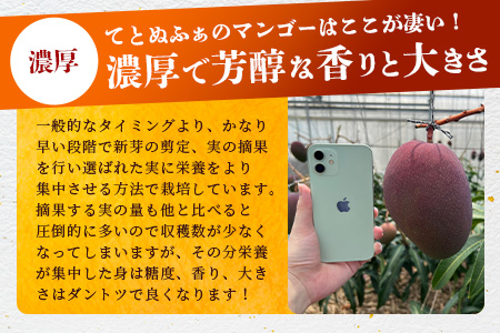 《2025年6月下旬～7月下旬発送》【先行予約】最高糖度20度！？ 完熟の極！3Lサイズ 石垣島マンゴー 1玉入り約400g【贈答向け】【 産地直送 完熟マンゴー アーウィン マンゴー 沖縄 八重山 