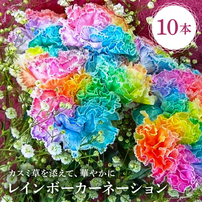 【ふるさと納税】 レインボーカーネーション10本セット 千葉県 南房総市 花 フラワー 華やか 染め花 プレゼント 贈り物 花束 虹色 誕生日 イベント 記念日 お祝い セットお取り寄せ 送料無料