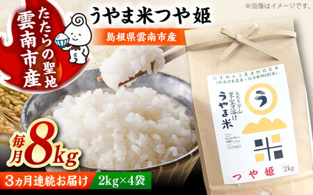 【全3回定期便】うやま米 つや姫 8kg（2kg×4）[AIDB090] 米 定期便