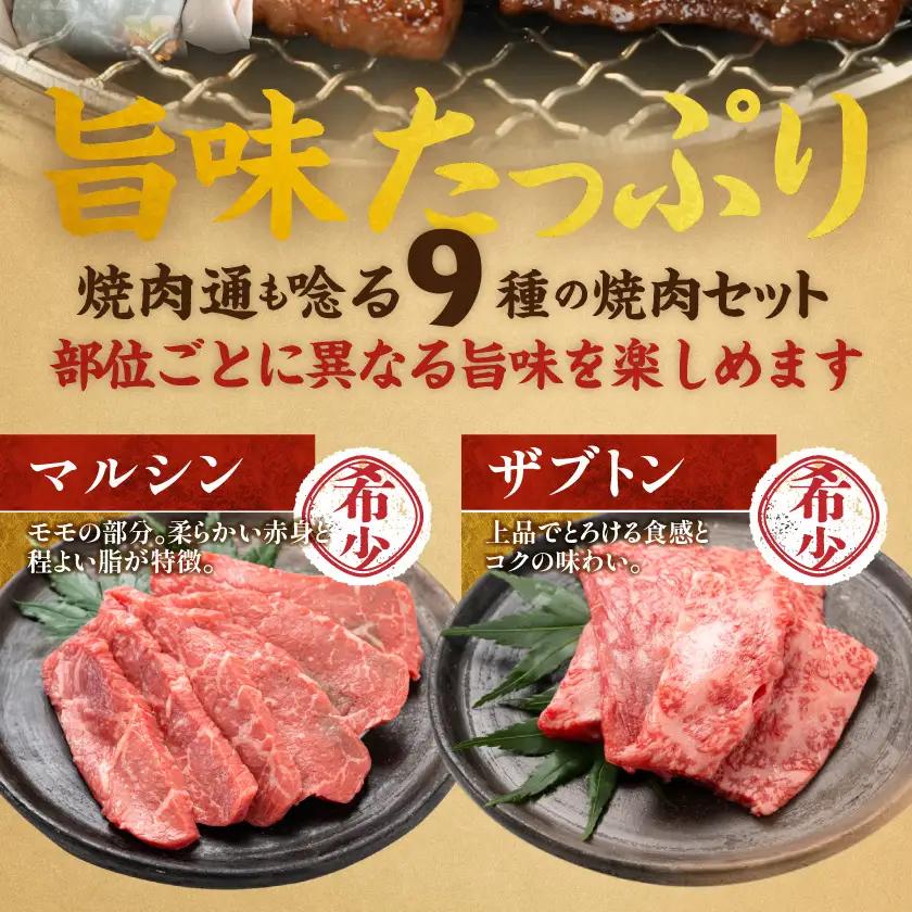 牛肉 【数量限定】 宮崎牛 9種盛 焼肉セット〔22-31-006-600g〕_(都城) 牛肉
