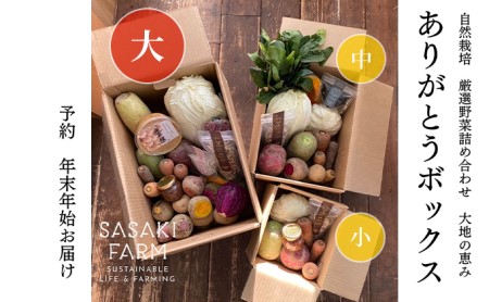 野菜詰合せ 北海道 自然栽培 佐々木ファーム ありがとうBOX大 野菜詰合せ【先行予約】