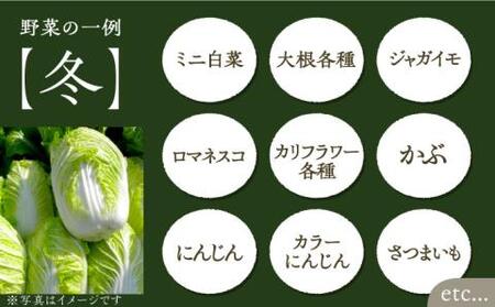【全6回定期便】農家が選ぶ！ 旬の新鮮野菜セット[VBE009]産直 野菜 やさい 詰め合わせ