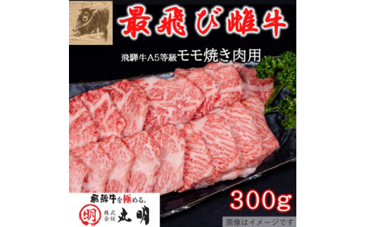 ＜最飛び雌牛＞飛騨牛A5等級モモ焼き肉用　300g【1520154】