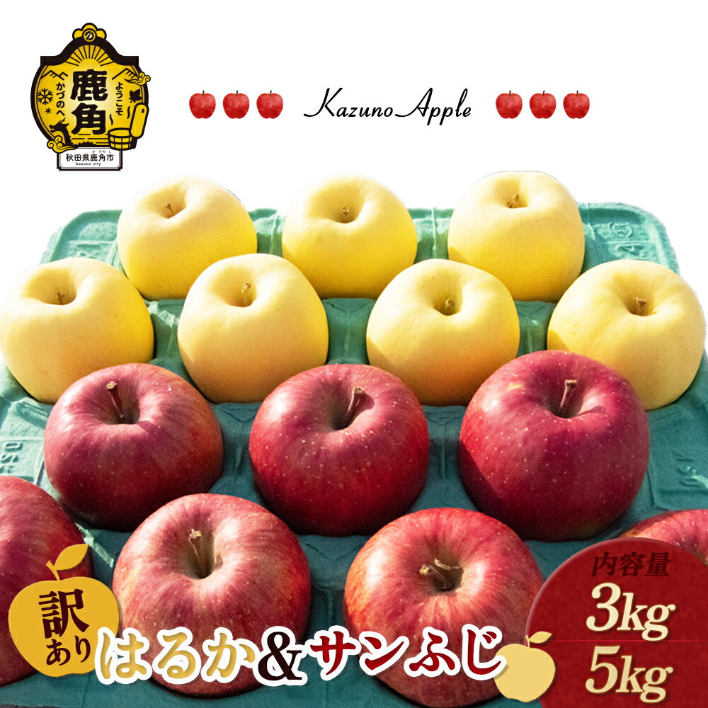 【ふるさと納税】《 先行予約 》 訳あり りんご 鹿角りんご 「 はるか ＆ サンふじ 」選べる 3kg ／ 5kg 家庭用 林檎 みずみずしい 果汁 リンゴ 完熟 旬 県産りんご お中元 お歳暮 贈り物 お見舞い グルメ ギフト 故郷 秋田 あきた 鹿角市 鹿角 送料無料 【佐藤秀果園】