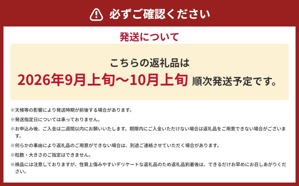 生栗 クリ 大粒2L以上 約3kg