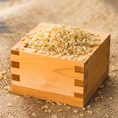 ふるさと納税 小竹町 【有機JAS認定】塩ミネラル米　小さな竹美人4kg(玄米) |  | 01