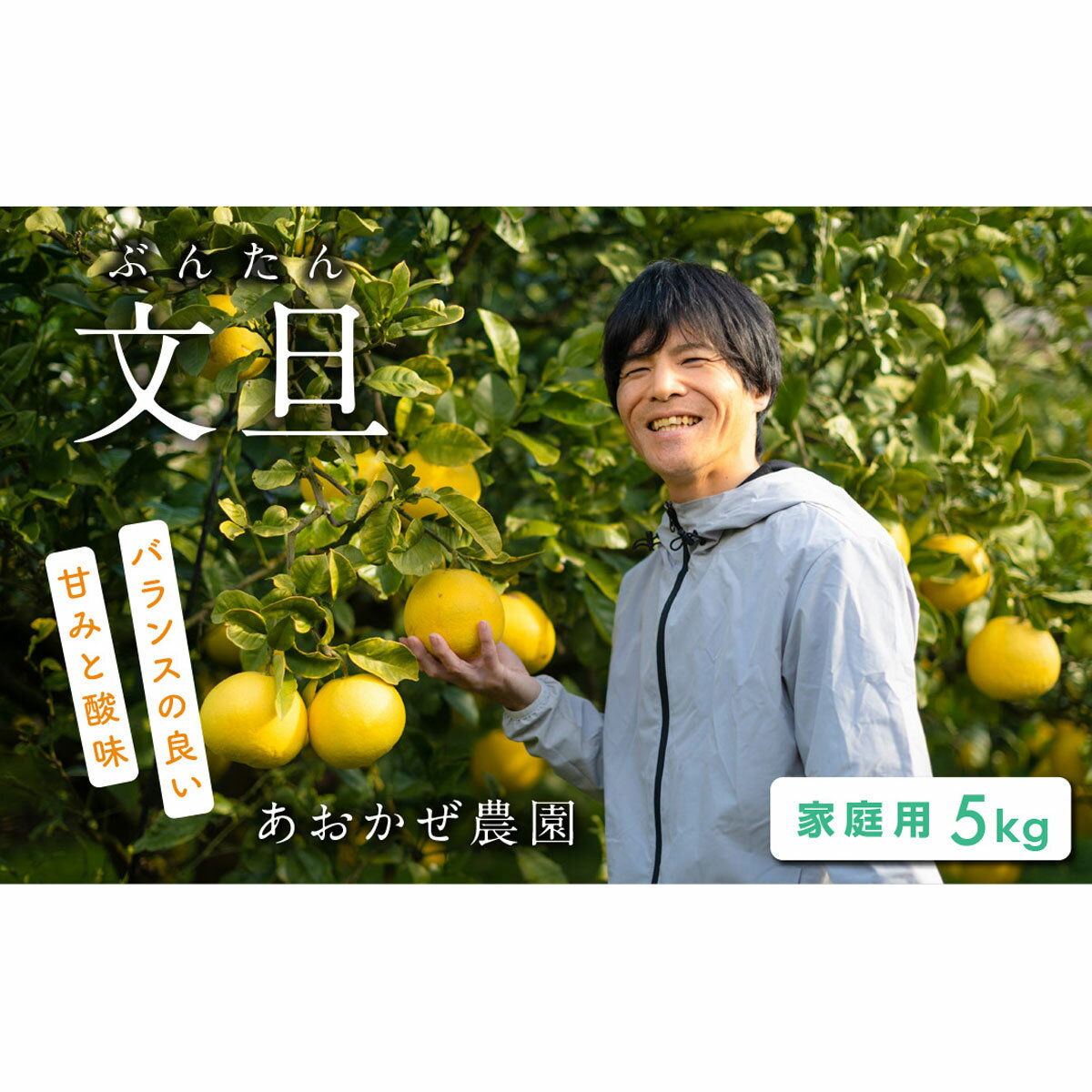 【ふるさと納税】あおかぜ農園の土佐文旦5kg家庭用