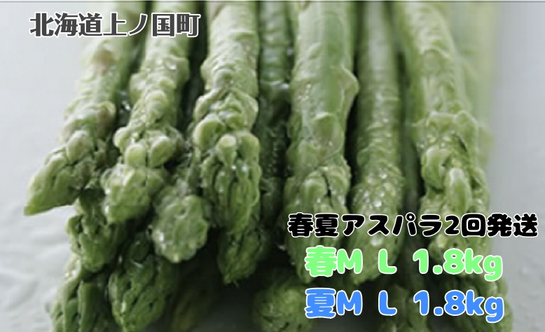 【2026年春夏発送】北海道上ノ国町産 刀祢農園の朝採れ春アスパラM～L（1.8㎏）と夏アスパラM～L（1.8㎏）の2回お届け