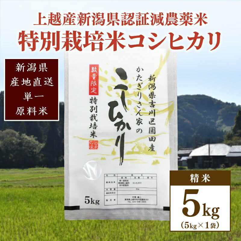 【ふるさと納税】250kg限定★令和6年産・新潟県上越市吉川区国田産・県認証減農薬米／特別栽培米コシヒカリ精米5kg　お届け：ご注文後、2～3週間を目途に順次発送いたします。