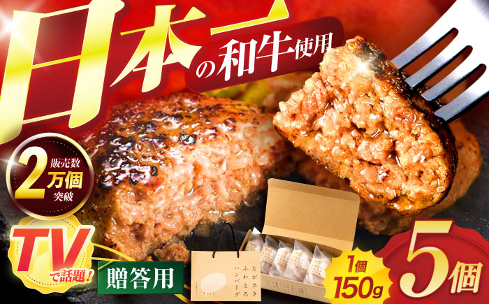 ながさきふわとろハンバーグ 150g×5個入 【贈答用】/ ハンバーグ はんばーぐ 牛肉 豚肉 長崎和牛 / 諫早市 / ワールド・ミート有限会社 [AHBG001]