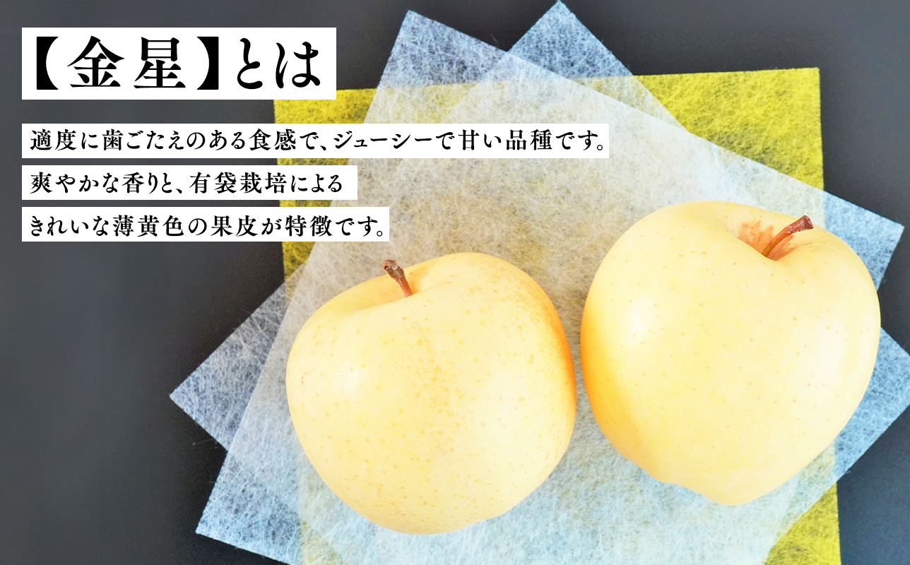 年内 贈答規格 広船の大玉金星約3kg「特A」【広船アップルクラブ　平川市広船産　青森りんご　12月】