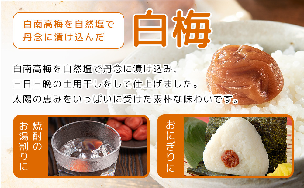 紀州南高梅 口熊野 ご家庭用 1kg 白梅 塩分約22％