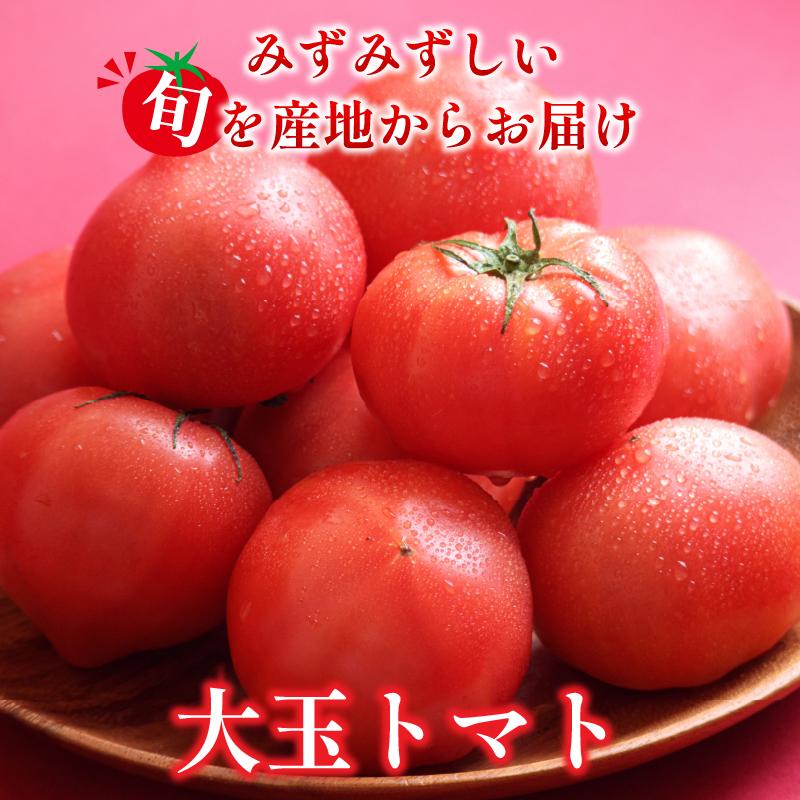トマト 4kg 大玉 とまと 4月～6月発送 野菜 やさい 国産 産地直送 数量限定 旬 徳島県産 tomato サラダ おすすめ 徳島県