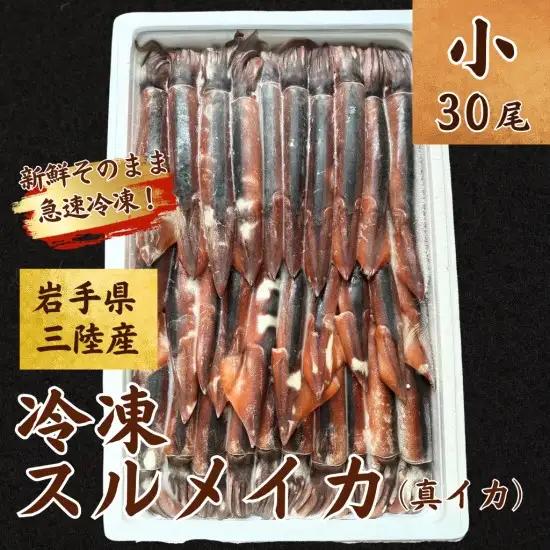【鮮度そのまま急速冷凍】冷凍スルメイカ 小サイズ 30尾入り いか 刺身 イカ いかめし イカ焼き いか塩辛