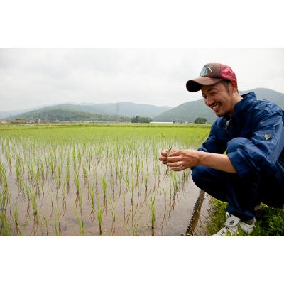 ふるさと納税 長浜市 【令和6年産】滋賀県長浜市　プチプチ食感!特別栽培”ミルキークイーン”5K玄米 |  | 02