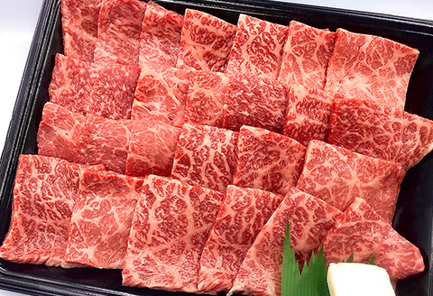 【冷凍】菊の井 飛騨牛モモ焼肉 500g（4～5人前）牛肉 ブランド牛【70-4】