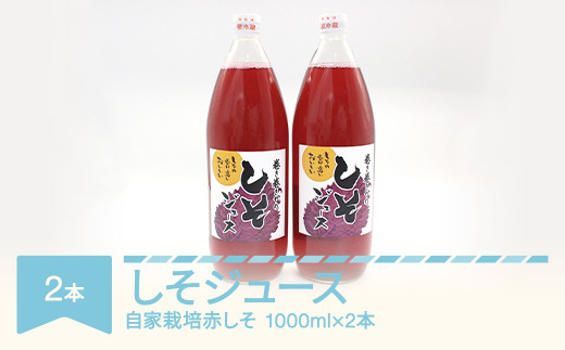 
しそ ジュース 1000ml × 2本 希釈 割り材 割材 ドリンク 抗酸化 無農薬 送料無料 my-sjxxx2
