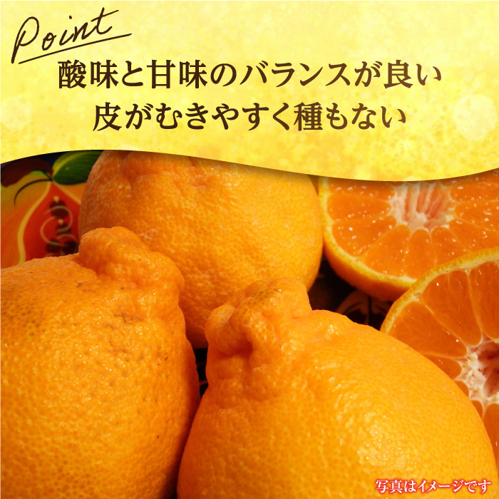【1月中旬〜3月下旬発送】佐賀県産 みかん「デコポン」5kg 吉野ヶ里町/リエンサーク [FCC007]