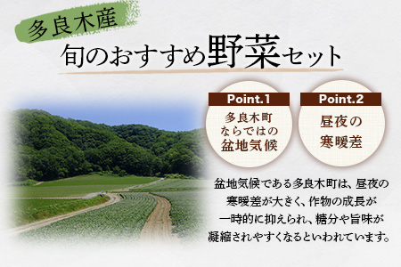 【数量限定】野菜ソムリエ 監修 旬の おすすめ 野菜 セット ４?5品 (1?2名様向け) 野菜 獲れたて 直送 旬 熊本県 多良木町 調味料 024-0801