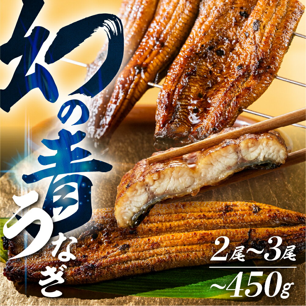 【ふるさと納税】《土用の丑の日 受付中》幻の青 うなぎ 2尾 3尾 ランキング 入り 高評価 蒲焼 発送時期が選べる 300g ~ 450g 厳選 鰻 蒲焼き 最高級 土用の丑の日 母の日 丑の日 指定日 うなぎ 冷凍 丑の日 惣菜 unagi ランキング 1位 送料無料 ギフト どうまい