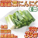 【ふるさと納税】 葉 ニンニク 150g×35袋 冷凍 有機栽培 有機野菜 無農薬 健康食品 有機JAS認定 高知県産 須崎市