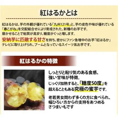 紅はるか 秀品(約10kg)(益城町)【1586864】