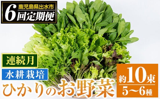 
										
										i678-B ＜定期便・計6回(連続月)＞ひかりのお野菜(約10束・5～6種) 野菜 やさい 葉物 旬 定期便 ほうれん草 水菜 チンゲン菜 小松菜 リーフレタス ルッコラ 水耕栽培 ミックスリーフ 山東白菜 何が届くかはお楽しみ【ひかりの郷】
									