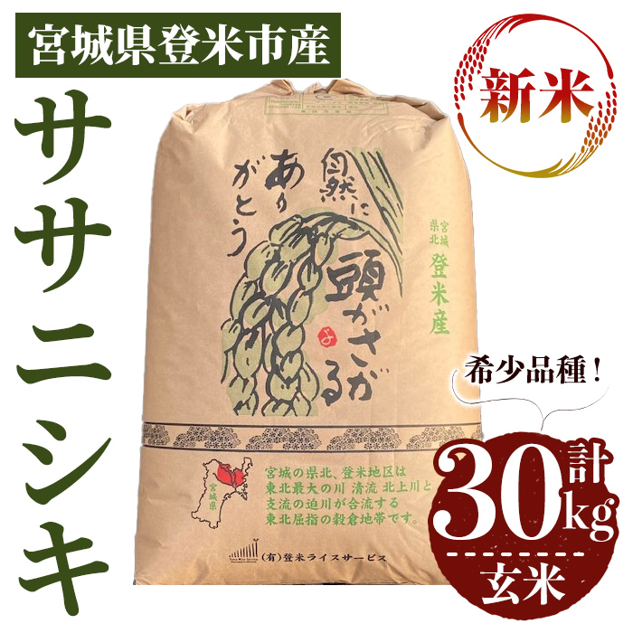 ≪令和7年産 新米≫ ササニシキ 玄米 30kg 登米市産 お米 おこめ 米 コメ ささにしき ご飯 ごはん おにぎり お弁当 【登米ライスサービス株式会社】tm150