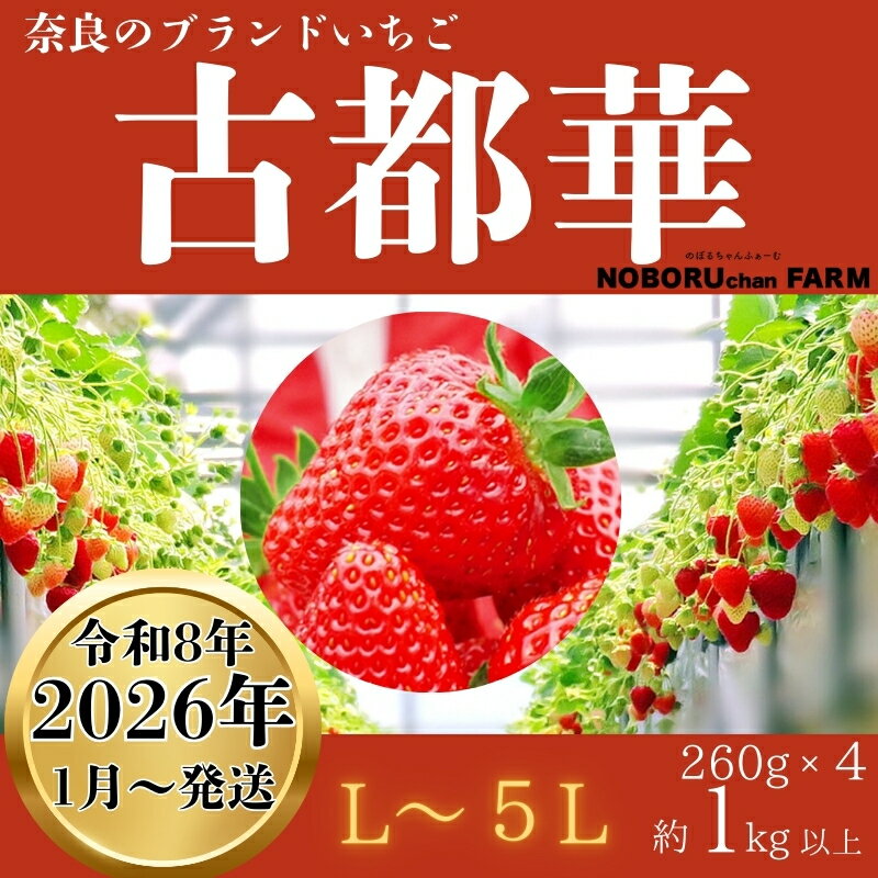 【ふるさと納税】★★2026年予約販売開始★★【2026年（令和8年）1月～発送】のぼるちゃんファーム の 古都華いちご 限定出荷 奈良ブランド苺 260g 合計4パック いちご 苺 イチゴ 古都華 大粒 産地 直送 フルーツ 果物 贈答用 プレゼント ギフト奈良県 奈良市 なら 12-097