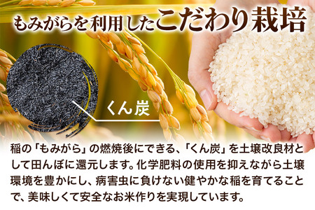 《令和7年産 新米先行受付》《定期便10ヶ月》 米 あきたこまち 5kg 【玄米】 秋田県産