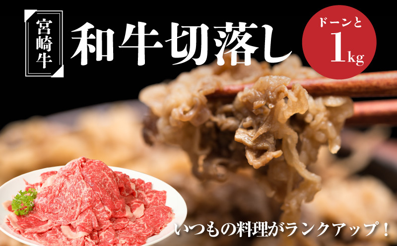 
            宮崎牛 和牛 切り落とし1kg  K01_0011_1
          