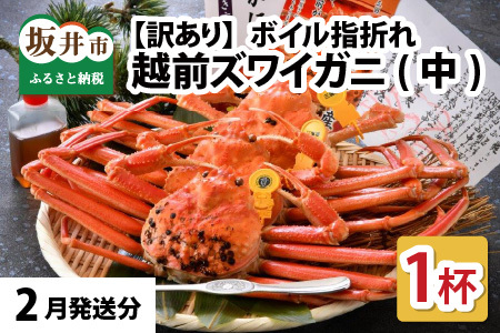 【先行予約】名人が茹でる とれたて指折れ訳あり越前がに(中) 1杯 やまに仕込み【2月発送分】 [E-4353_02]