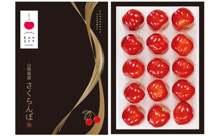温室栽培 山形市産「やまがた紅王」3L 15粒 化粧箱 【令和8年産先行予約】FS25-025
