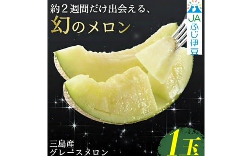 【予約受付中】 グレースメロン 1玉 JAふじ伊豆 ファーマーズマーケット みしまるかん お取り寄せ グルメ フルーツ メロン 静岡県 三島市